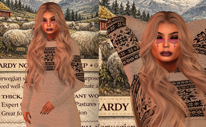 StudioCraft * Norway Dress Unpacker