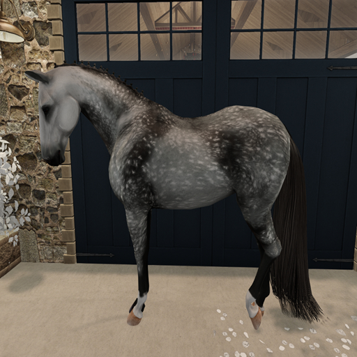 ~WW~ Dappled Gray V3