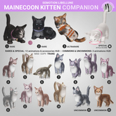SEmotion Libellune Mainecoon Kitten Companion COMMON 14