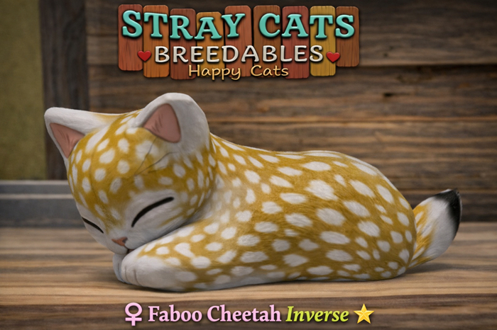 Stray Cats Kitten - Faboo Cheetah Inverse (F)