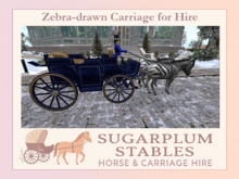 *Sugarplum Stables* Zebra-drawn Carriage for Hire