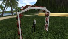 Arbor- White w/ roses for wedding boxed