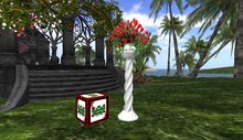 red roses on white pedestal boxed