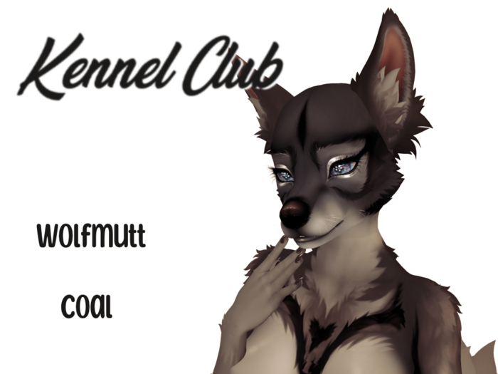 TKC - Wolfmutt Coal