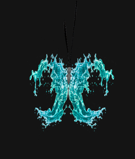 {Papillon} Fe/Mon/Nor/Fey/Butterfly/Wave/Angel Cocoon