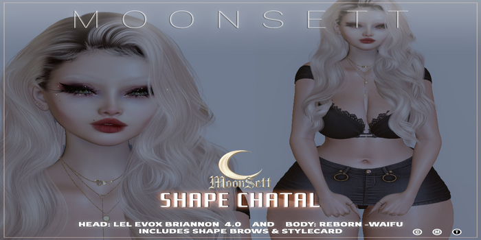 moonsett Shape Chantal Add