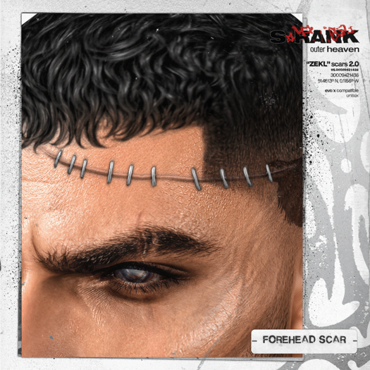 S-RANK "ZEKL" SCARS 2.0 / FOREHEAD SCAR