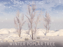 Magnetic - Winter Poplar Tree