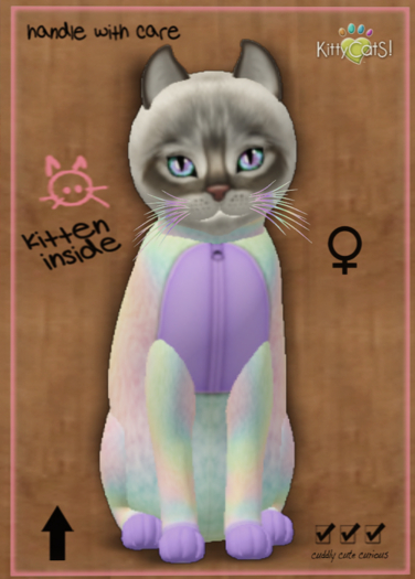 KittyCatS Box - Pajama PaRty! - Unique Corn