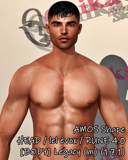 AMOS Shape - HEAD / lel evox / RUNE 4.0