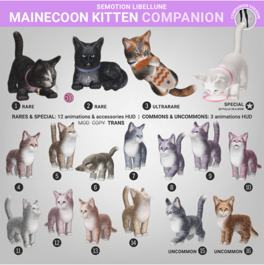 SEmotion Libellune Mainecoon Kitten Companion COMMON 14