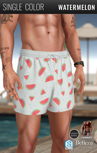 {COLD-ASH} MARCO Swim Shorts (Pattern-Watermelon)