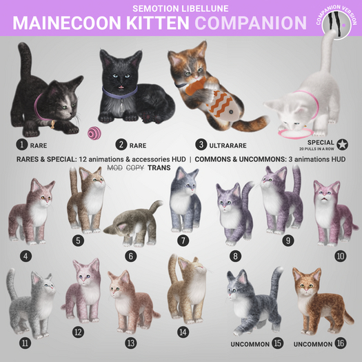 SEmotion Libellune Mainecoon Kitten Companion UNCOMMON 15