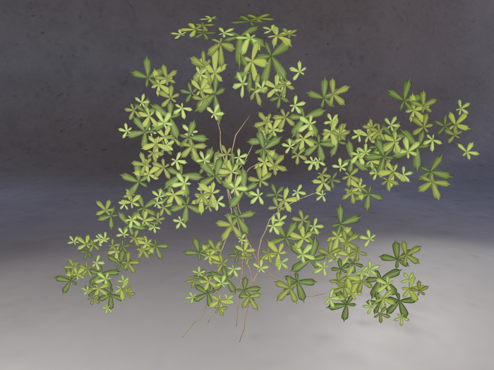 Creeping Vines PBR 