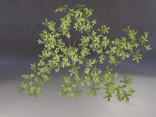 Creeping Vines PBR