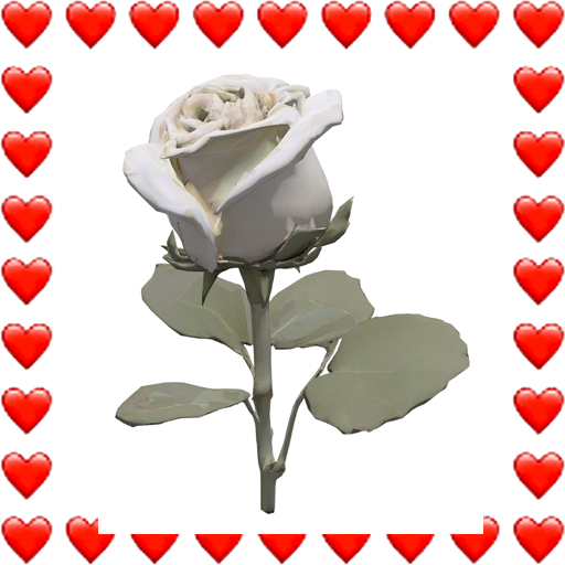 White Rose