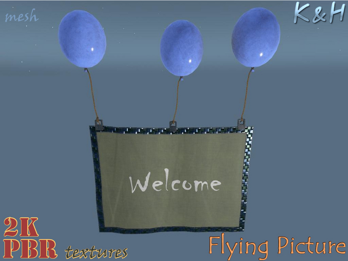 Flying Picture