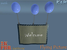Flying Picture