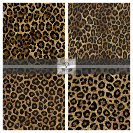 TB - LEOPARD STATEMENT WALLPAPER