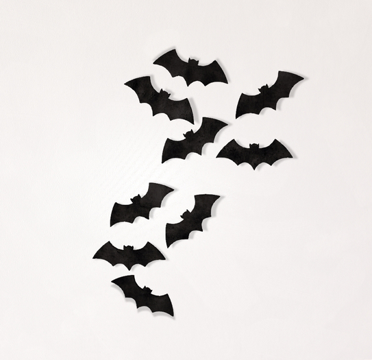 {Petite Maison} Wall Bats RARE