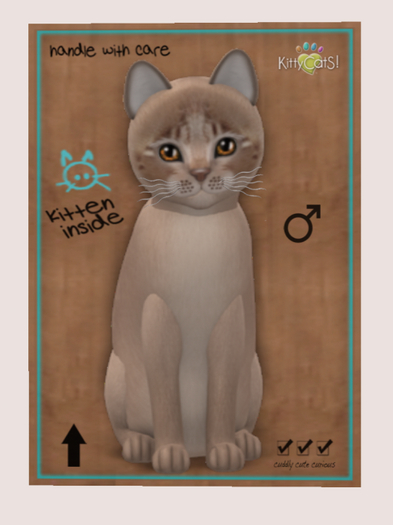 KittyCatS Box - TOY 1T+1 GenMocha LIGHTWAV