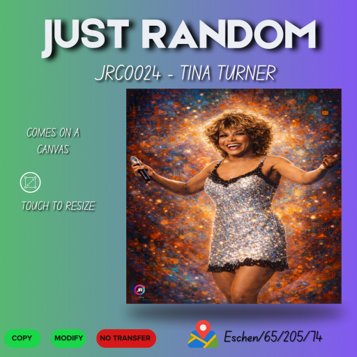 JRC0024 - TINA TURNER