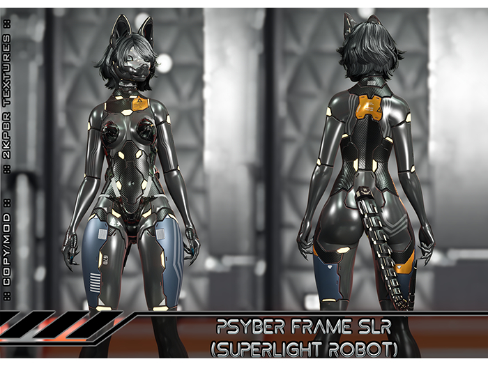 [Black Industries] - PSYBER Frame SLR Set