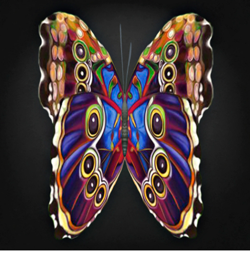 {Papillon} Fe/Mon/Nor/Lin/Butterfly/8thA Cocoon