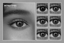 ZORA BEAUTY - MONA EYES - EVOX/MESH/BOM - DEMO