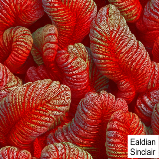 Organic Coral Seamless Texture