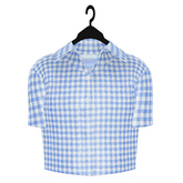 Spade: Carter Cowboy Shirt (Blue Plaid)