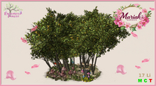 !MG! - Enchanted Forest - 04- Boxed