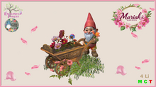 !MG! - Enchanted Gnomes - Breezy - Boxed