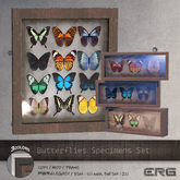 (:ERG:) Butterflies Specimens Set