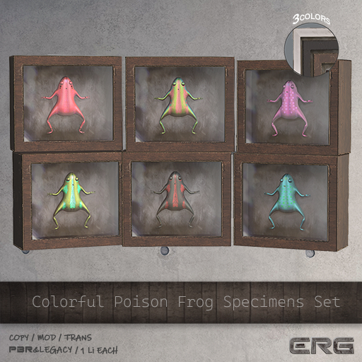 (:ERG:) Colorful Poison Frog Specimens Set