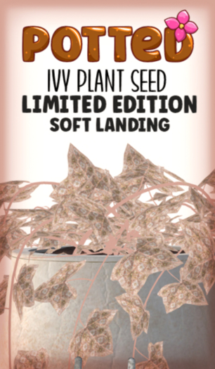 Potted: Ivy Seed: LE Soft Landing