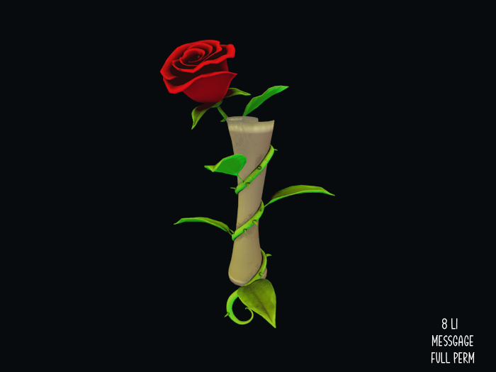 ~ VV ~ Message - Full Perm