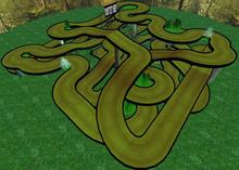 Riding track 4 - The Forest