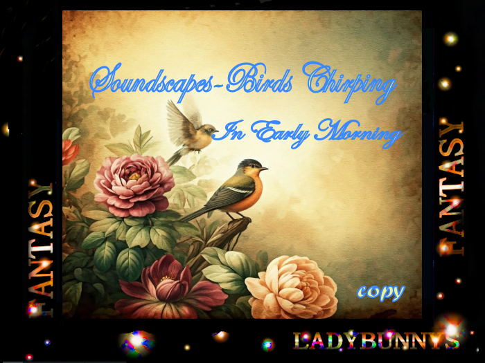 Bunny's Soundscape-Birds Chirping Early Morning Bird Sounds