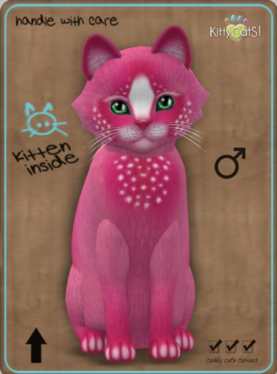 KittyCatS Box - Confetti - PinkBerry Male