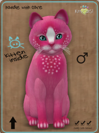 KittyCatS Box - Confetti - PinkBerry Male