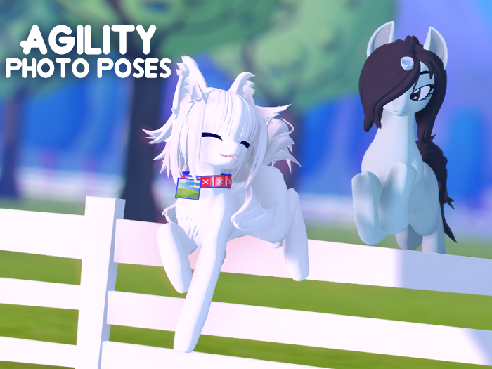 Agility Photo Poses