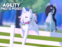 Agility Photo Poses