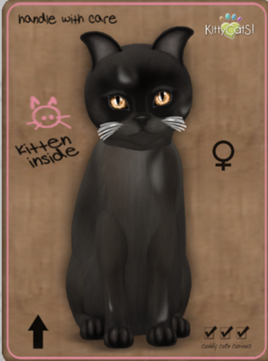 KittyCatS Box - Genesis - Coco II Female