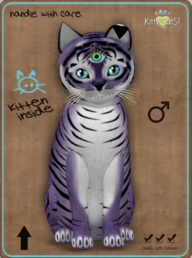 KittyCatS Box - Tiger! - Dusky Plum Male