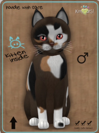 KittyCatS Box - Genesis - Patch II Male Megapuss
