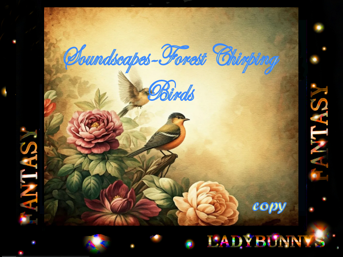 Bunny's Soundscape-Forest Chirping Birds -Bird Sounds