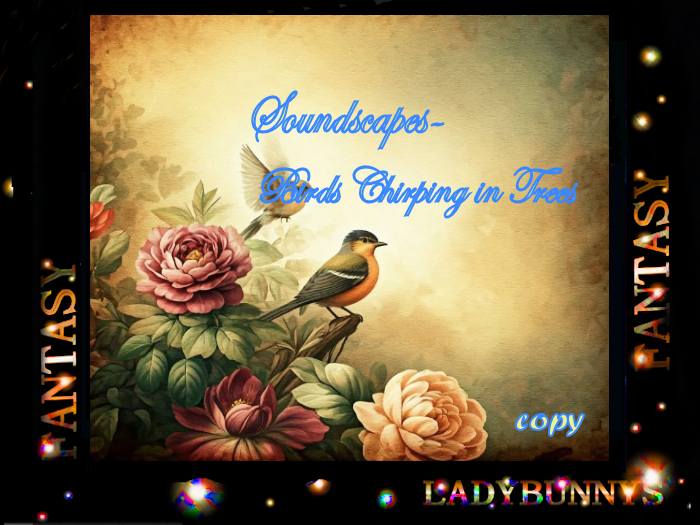 Bunny's Soundscape-Birds Chirping In Trees Bird Sounds