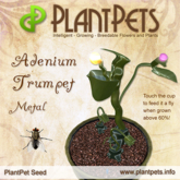 PlantPet Seed [Adenium Trumpet *Metal*]  rare elite
