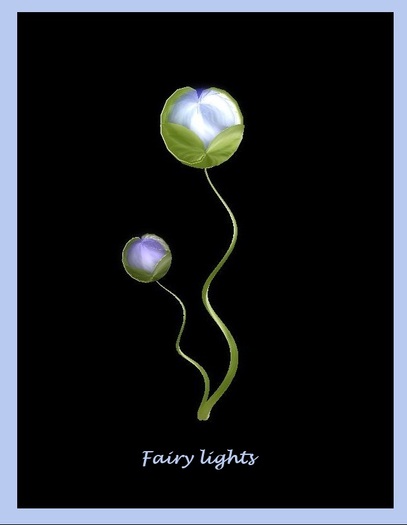 Two fairy lights (boxed)